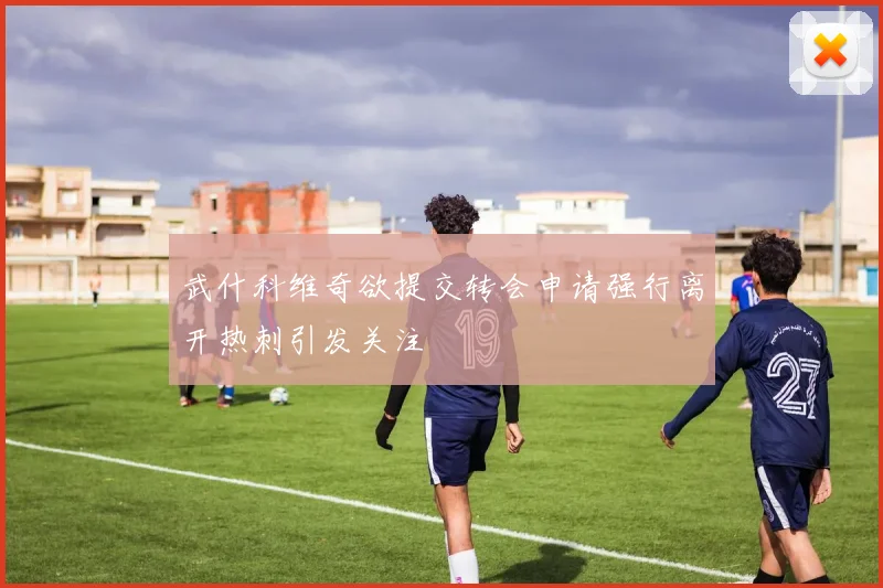 武什科维奇欲提交转会申请强行离开热刺引发关注